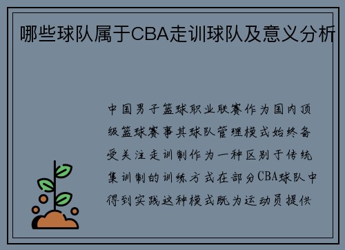 哪些球队属于CBA走训球队及意义分析